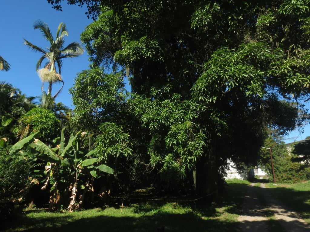 Solar Vovo Emma House Villa Penha  Luaran gambar